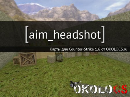 aim_headshot